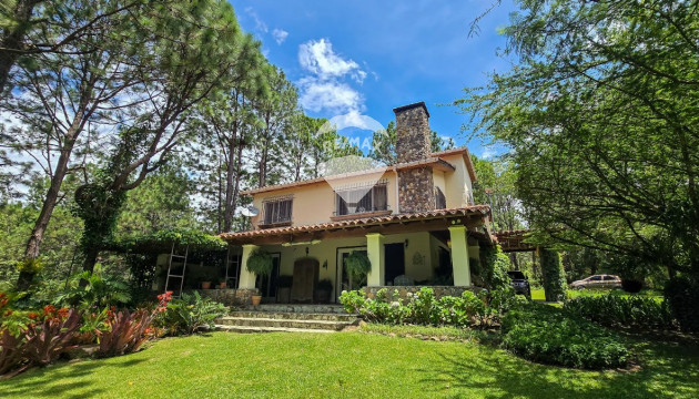 Fotografía