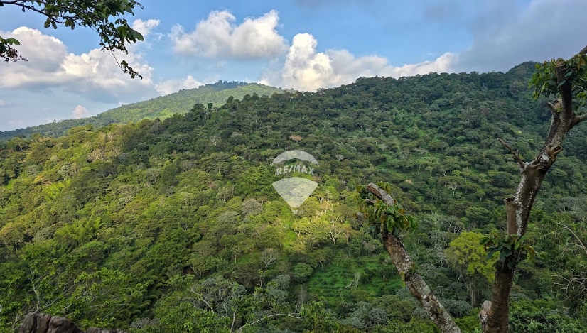 RE/MAX real estate, El Salvador, Concepcion de Ataco, 44.67 ACRES OF LAND FOR SALE IN ATACO, AHUACHAPAN