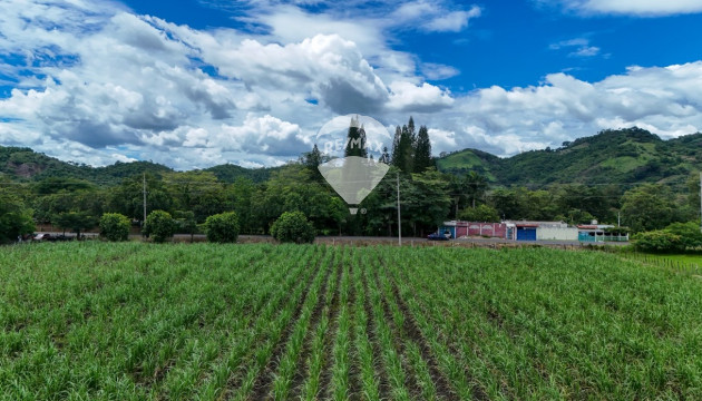 Fotografía