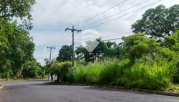 Fotografía