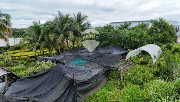 Fotografía