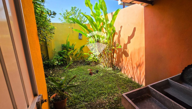 Fotografía