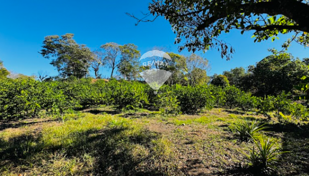 AGRICULTURAL LAND CIUDAD ARCE