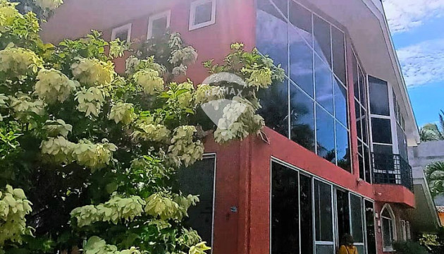 Fotografía