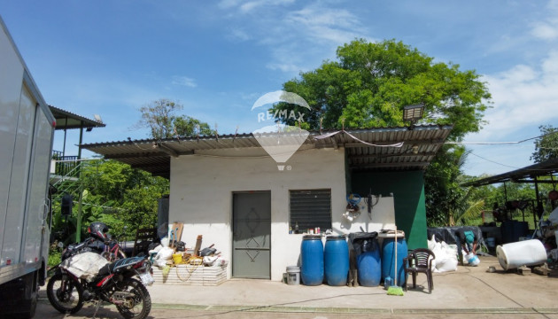Fotografía