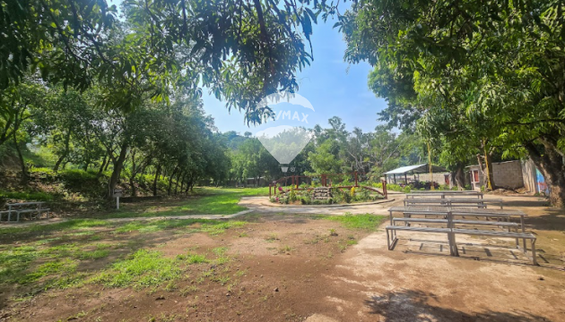 Fotografía