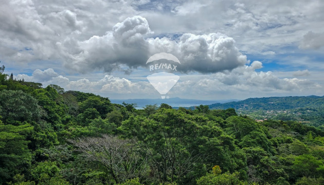 Fotografía