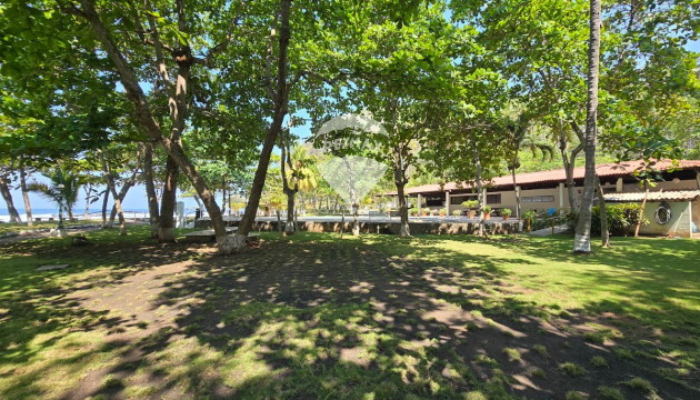 Fotografía