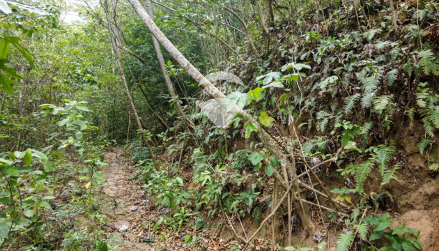 Farm for sale in Jujutla-Ahuachapán
