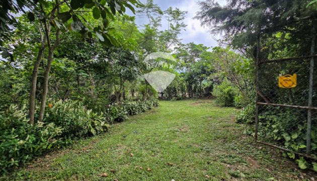 Fotografía