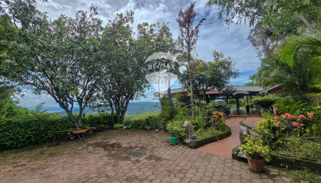 Fotografía