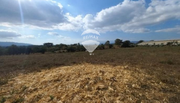 Land for agricultural use for sale in Zapotitan Ciudad Arce.