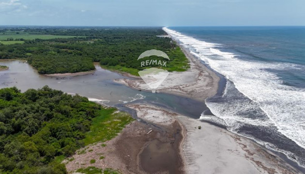 Fotografía