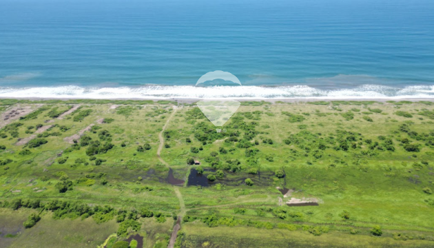 TERRENO EN VENTA SOBRE EL MAR, BAHÍA DE JIQUILISCO