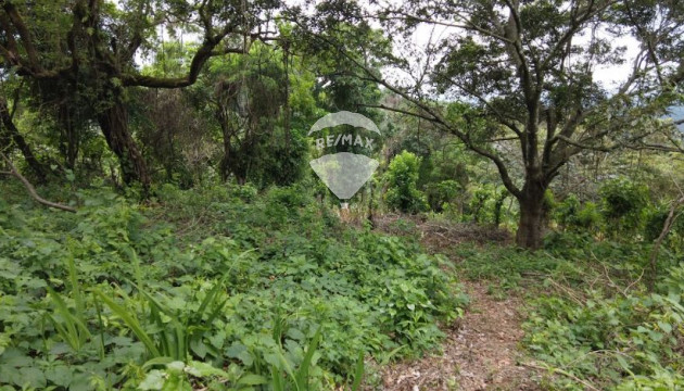 Título de Propiedad