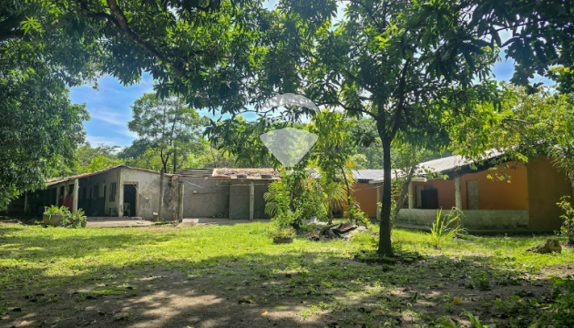 Fotografía