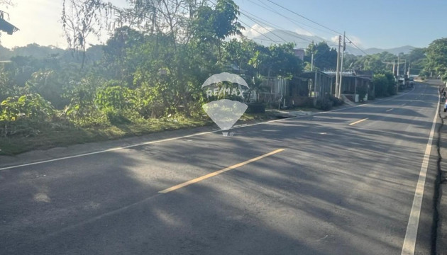 Fotografía