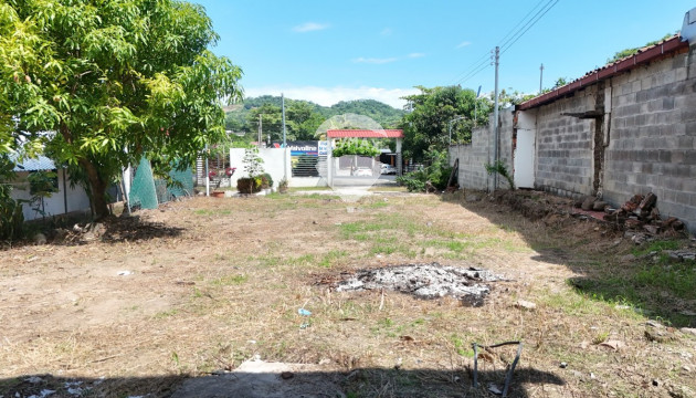 Fotografía