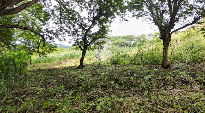 LAND ON SALE AT BARRIO LA CRUZ, SAN JOSE LA FUENTE, LA UNION