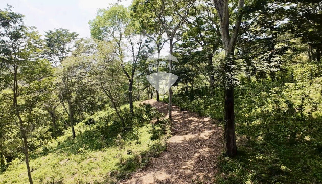 TERRENO EN BOSQUE  DE BALSAMO Y CAFE PORCION 2