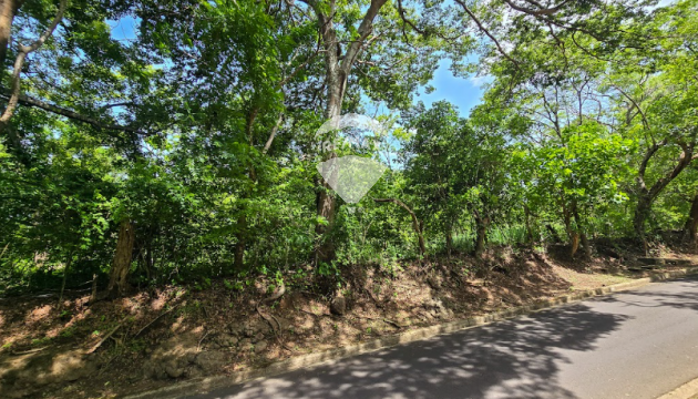 Fotografía