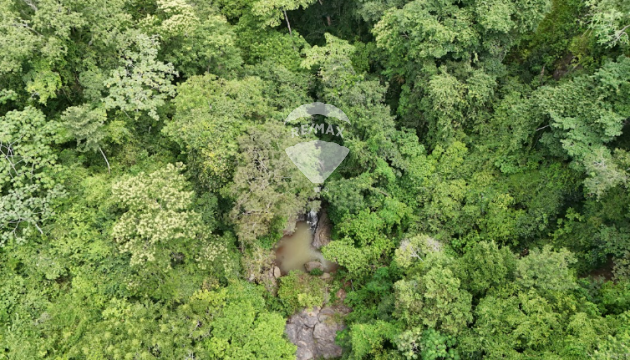 Fotografía