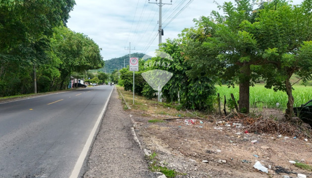 Fotografía