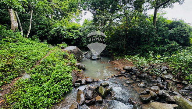 15.5 manzanas about 15 minutes south of the town of Tacuba, Ahuachapan