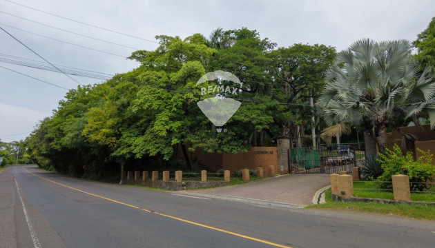 Fotografía